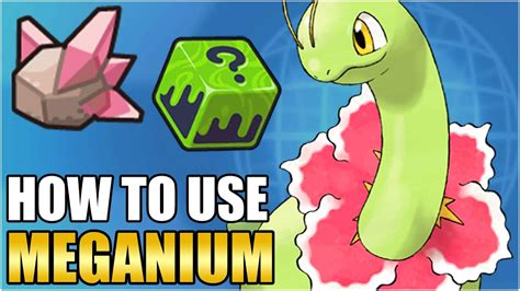 mega meganium|best nature for meganium.